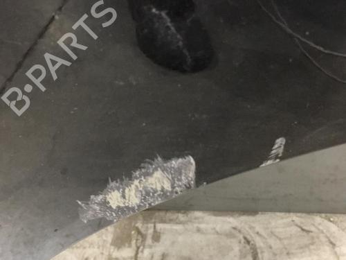 Left rear door NISSAN QASHQAI I (J10, NJ10) 1.5 dCi | BP25521396C4