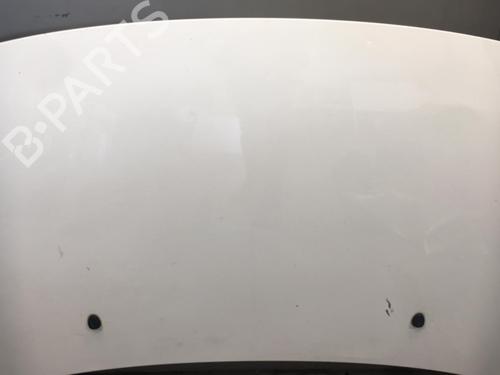 Used Hood Hood CITROËN C3 I (FC_, FN_) 1.4 HDi (68 hp) 25571780 25571780