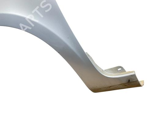 Left front fenders RENAULT CLIO III (BR0/1, CR0/1) 1.5 dCi (C/BR0G, C/BR1G) | BP25575745C41 