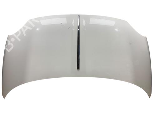 Used Hood FIAT 500 (312_) 1.2 (312AXA1A) (69 hp) 25539827