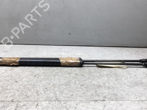 Gassdemper Bakluke RENAULT CLIO V (B7_) 1.0 TCe 100 (B7MT) (101 hp) 25575971