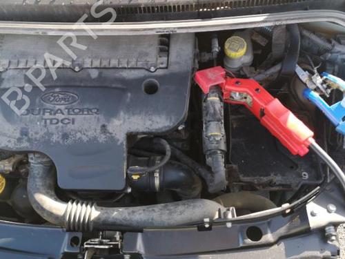 Seat buckle FORD KA (RU8) 1.3 TDCi | BP25560277I32  - Image 14