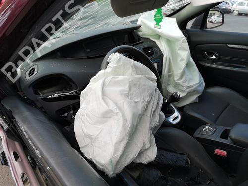 Display monitor RENAULT SCÉNIC III (JZ0/1_) 1.5 dCi | BP25554178C48 