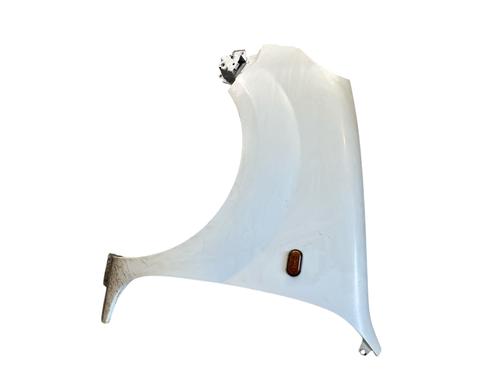 Left front fenders RENAULT KANGOO (KC0/1_) 1.5 dCi (KC07) | BP25569840C41 
