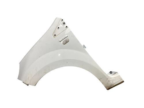 Używane Błotnik przedni lewy RENAULT TWINGO II (CN0_) 1.2 16V (CN04, CN0B) (75 hp) 29501610