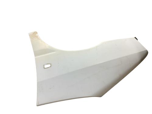 Used Left front fenders PEUGEOT EXPERT (224_) 2.0 HDI 16V (109 hp) 25513855