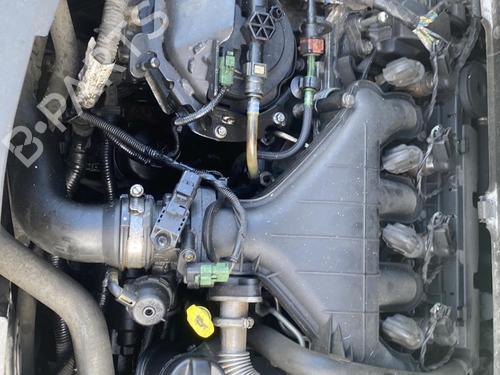 Front right seatbelt FORD S-MAX (WA6) 2.0 TDCi | BP25515426I25  - Image 11