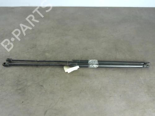 Used Tailgate lift support VW CADDY III Box Body/MPV (2KA, 2KH, 2CA, 2CH) 1.9 TDI (105 hp) 25583672