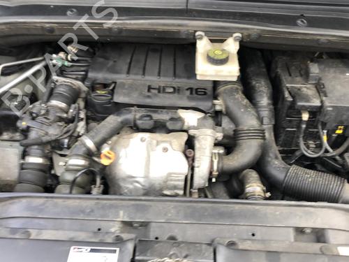 Fuel flap CITROËN C4 Picasso I MPV (UD_) 1.6 HDi | BP25575146C131 