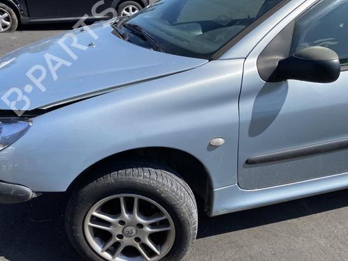 Right mirror PEUGEOT 206 Hatchback (2A/C) 1.4 HDi eco 70 | BP25571782C27 
