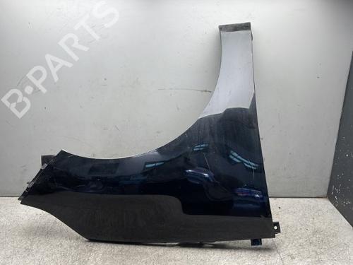 Used Right front fenders RENAULT SCÉNIC III (JZ0/1_) 1.9 dCi (JZ0J, JZ1J, JZ1K, JZ1S) (131 hp) 25501468