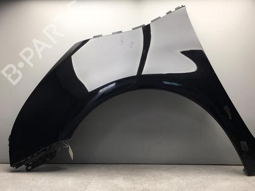 Forkjerm venstre CITROËN C4 Picasso I MPV (UD_) 2.0 i 16V | BP25521133C41 