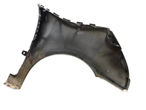Left front fenders CITROËN C4 Picasso I MPV (UD_) 1.6 HDi | BP28795977C41
