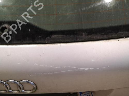 Tailgate AUDI A3 (8P1) 1.9 TDI | BP25519768C6 