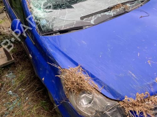 Front left seatbelt OPEL CORSA D (S07) 1.3 CDTI (L08, L68) | BP25540816I26  - Image 31