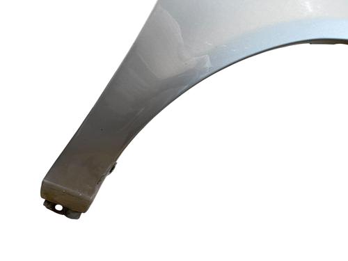 Right front fenders SEAT ALHAMBRA (7V8, 7V9) 1.9 TDI | BP25556274C42 