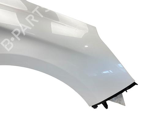 Right front fenders CITROËN C4 II (NC_) 1.6 HDi 115 | BP25549990C42 
