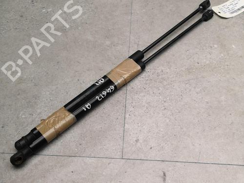 Tailgate lift support AUDI A1 (8X1, 8XK) 1.6 TDI | BP25525953C138 