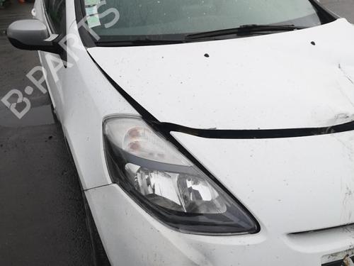 Left rear door RENAULT CLIO III (BR0/1, CR0/1) 1.5 dCi (C/BR0G, C/BR1G) | BP25533891C4 