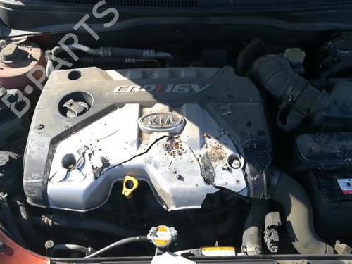 - Image 12