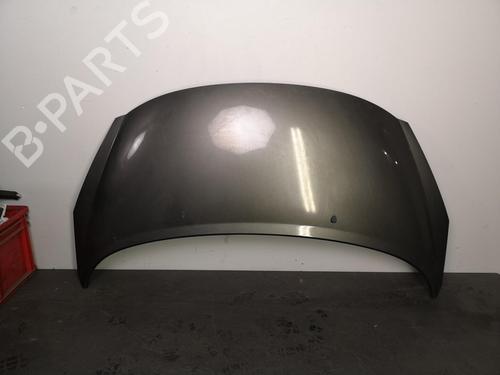 Used Hood PEUGEOT 207 (WA_, WC_) 1.6 HDi (90 hp) 25555483
