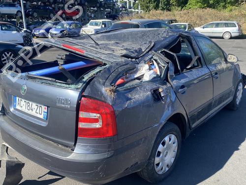 Right mirror SKODA OCTAVIA II Combi (1Z5) 1.9 TDI | BP25555552C27 