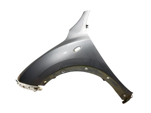 Left front fenders NISSAN JUKE (F15) 1.6 | BP25568123C41 