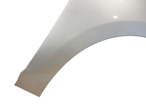 Right front fenders RENAULT SCÉNIC III (JZ0/1_) 1.5 dCi | BP25546087C42