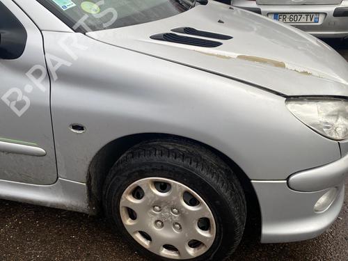 Left mirror PEUGEOT 206 Hatchback (2A/C) 1.4 i | BP25529080C26 