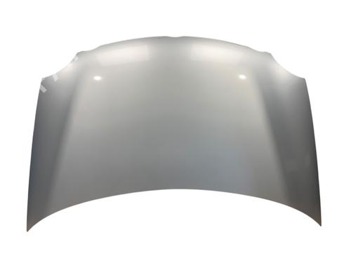 Used Hood VW POLO IV (9N_, 9A_) 1.4 TDI (75 hp) 25549909