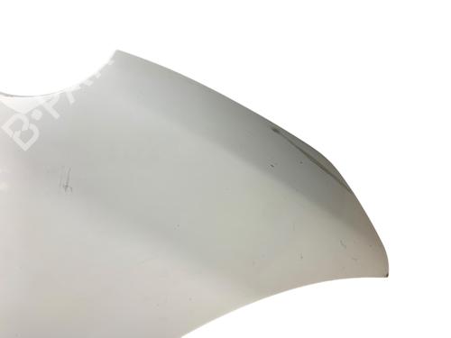 Hood FIAT 500 (312_) 1.2 (312AXA1A) | BP25539827C1 