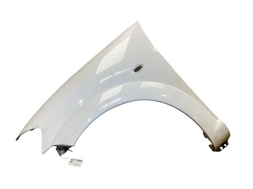 Left front fenders CITROËN C3 I (FC_, FN_) 1.4 HDi | BP25571781C41 