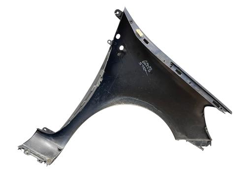 Left front fenders RENAULT CLIO III (BR0/1, CR0/1) 1.5 dCi (C/BR0G, C/BR1G) | BP28203655C41