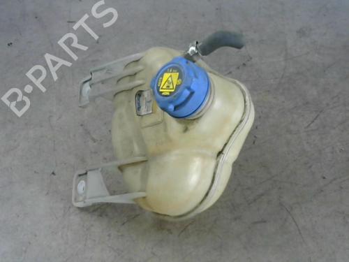 Used Expansion tank FIAT GRANDE PUNTO (199_) 1.2 (65 hp) 25519976