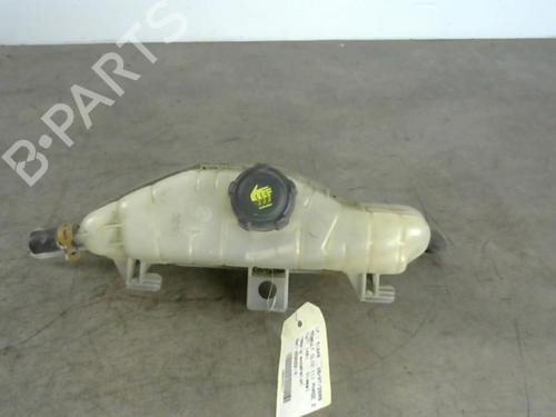 Used Expansion tank RENAULT CLIO III (BR0/1, CR0/1) 1.5 dCi (C/BR0G, C/BR1G) (68 hp) 25553231