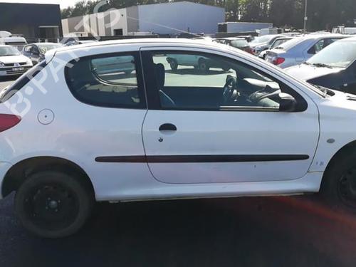 Elektronisk modul PEUGEOT 206 Hatchback (2A/C) 1.9 D | BP25554942M83 