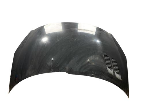 Used Hood PEUGEOT 206+ (2L_, 2M_) 1.4 HDi eco 70 (68 hp) 25530405