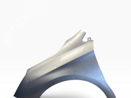 left-front-fenders-citroen-c4-ii-nc_-2009-38979637 main image