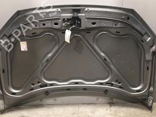 Used Hood VW POLO IV (9N_, 9A_) 1.2 12V (64 hp) 25535187