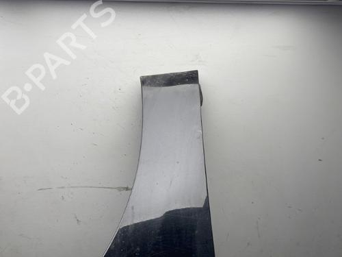 Right front fenders RENAULT SCÉNIC III (JZ0/1_) 1.9 dCi (JZ0J, JZ1J, JZ1K, JZ1S) | BP25501468C42 