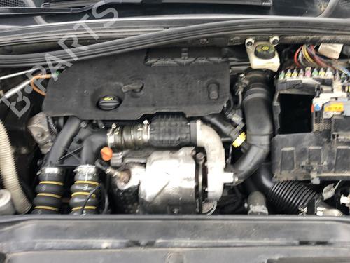 Front right seatbelt CITROËN C4 II (NC_) 1.6 HDi 115 | BP25521261I25 - Image 12