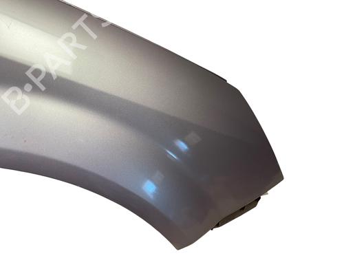 Right front fenders RENAULT MEGANE II (BM0/1_, CM0/1_) 1.9 dCi (BM0G, CM0G) | BP28203654C42 