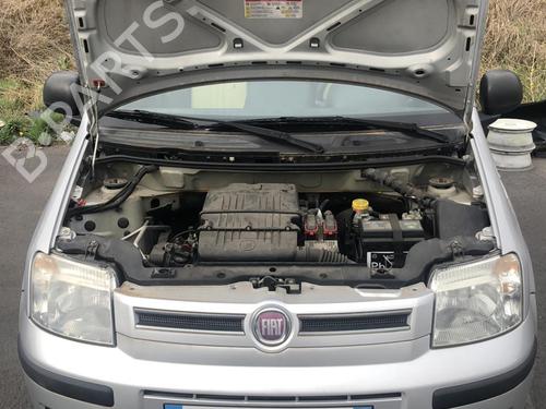 Front right seatbelt FIAT PANDA (169_) 1.2 LPG (169CXF1A) | BP25579906I25 - Image 8