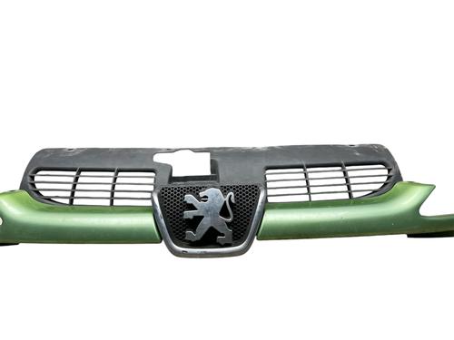 Grille PEUGEOT 206 CC (2D) 1.6 16V (2DNFUF, 2DNFUR) | BP25530312C40 