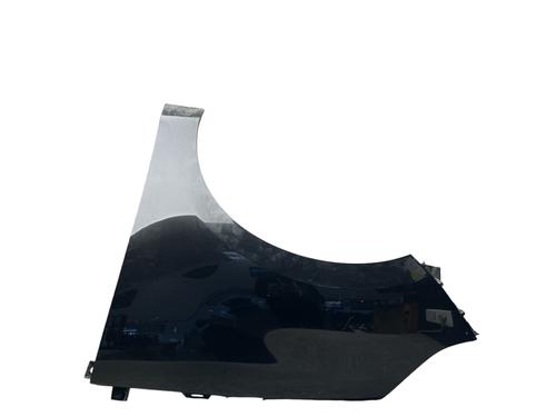Left front fenders RENAULT SCÉNIC III (JZ0/1_) 1.5 dCi | BP25572418C41 
