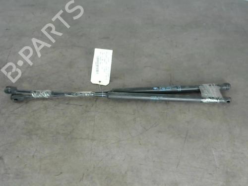 Used Tailgate lift support PEUGEOT 1007 (KM_) 1.6 HDi (109 hp) 25577641