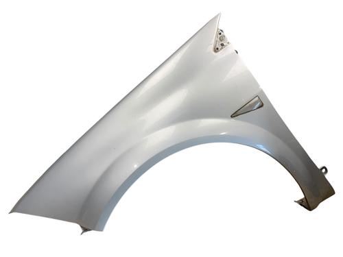 Used Left front fenders RENAULT MEGANE II Estate (KM0/1_) 2.0 dCi (150 hp) 25864340