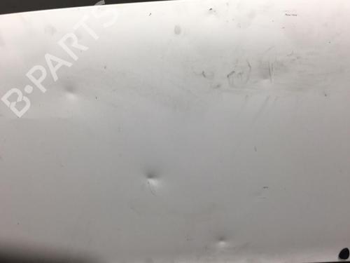 Hood PEUGEOT EXPERT Van (222) 1.9 D 70 7901H2