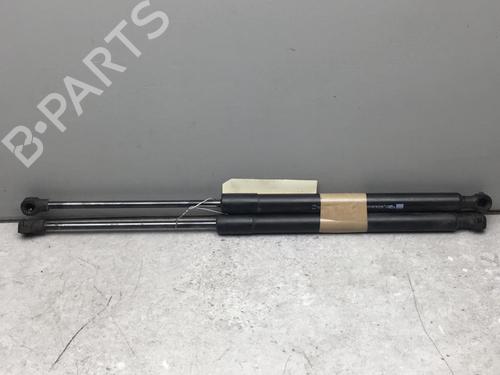 Used Tailgate lift support RENAULT CLIO IV (BH_) 1.5 dCi 90 (90 hp) 25520924