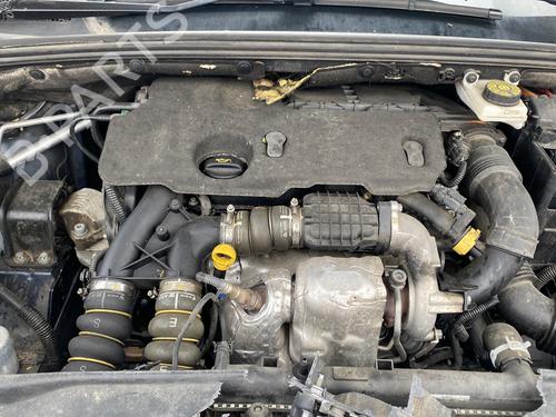 Dør højre bagtil CITROËN C4 II (NC_) 1.6 HDi 115 | BP25545819C5 